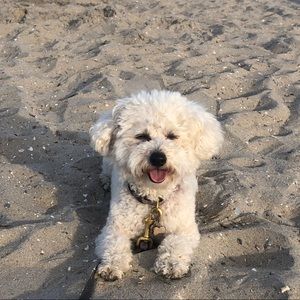 Meet your Posher, Jenny